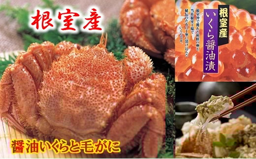 C-01065【年内配送可】 【北海道根室産】醤油いくらと毛がに北海道根室市29000魚介・海産物カニ