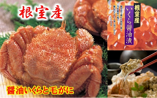 C-01065【12/21まで年内配送】 【北海道根室産】醤油いくらと毛がに北海道根室市29000魚介・海産物カニ