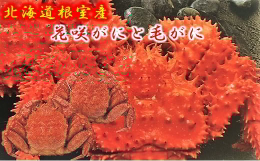 D-01017【12/21まで年内配送】 【北海道根室産】花咲がにと毛がに2尾北海道根室市58000魚介・海産物カニ