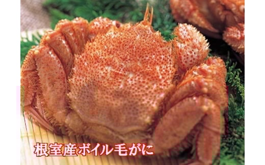 C-01016【年内配送可】 【北海道根室産】ボイル毛がに3尾北海道根室市29000魚介・海産物カニ