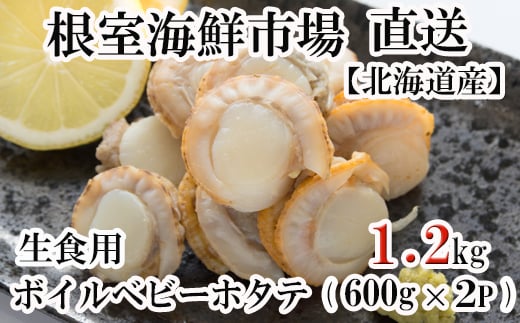 A-28118yNzz  _Ǝ҉i^CNsꁃ{Cxr[ق(Hp)600g×2P(60`120) ӂ邳Ɣ[ z^e  ق CNkCs14000ECYL