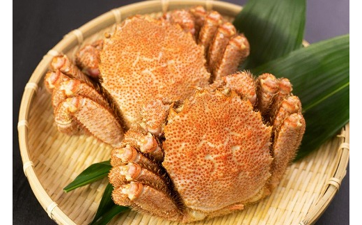 C-66013 【北海道根室産】ボイル毛蟹450g前後×2尾北海道根室市29000魚介・海産物カニ