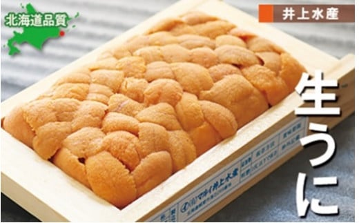 A-71030【12/17まで年内配送】 エゾバフンウニ90g×1折北海道根室市14000魚介・海産物イカ・タコ・ウニ