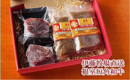 B-13004【12/17まで年内配送】 【北海道根室産】短角和牛ヒレステーキ150g×2P、牛すじカレー2P北海道根室市23000肉牛肉