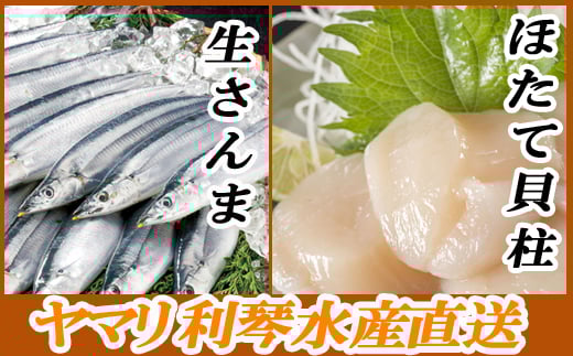 A-70034【年内配送可】 冷凍さんま・ほたて貝柱セット北海道根室市14000魚介・海産物その他 魚介・海産物