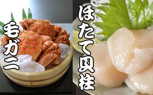 C-70043y12/21܂ŔNzz тɁEقĊLZbgkCs29000ECYJj