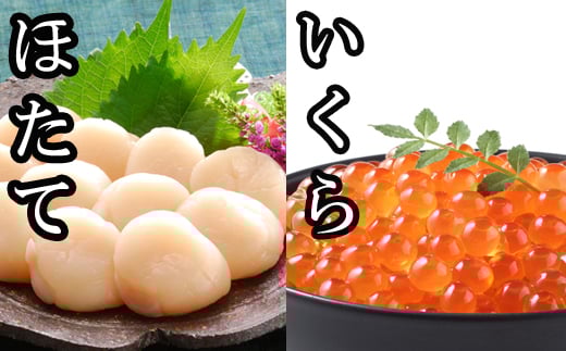 B-30019yNzz ݖЂ100g×1PAقĊL500g×1PkCs23000ECYL