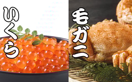 C-30044【12/21まで年内配送】 毛かに・いくら醤油漬けセット北海道根室市29000魚介・海産物いくら