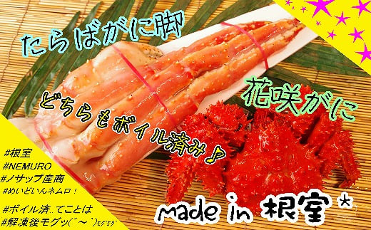 D-59028y12/21܂ŔNzz ykCYz΂ɋrEԍ炪ɃZbgkCs58000ECYJj