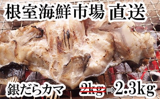 A-14151【年内配送可】  銀だらカマ2.3kg北海道根室市14000魚介・海産物貝類