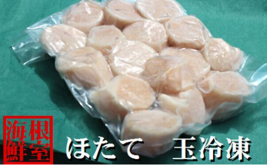 A-57036y12/21܂ŔNzz _Ǝ҉i^ykCYzz^eL^pbN500gkCs14000ECYL