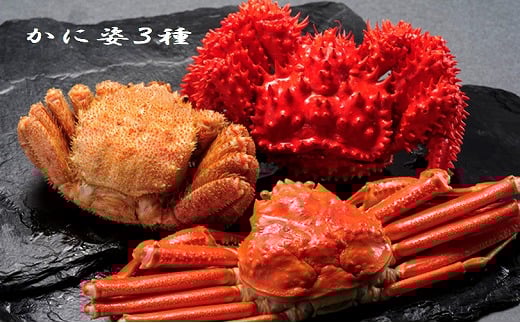 D-01028【12/21まで年内配送】 かに姿3種(花咲がに・毛がに・ずわいがに)北海道根室市58000魚介・海産物カニ