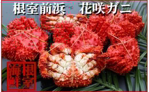 A-57037【年内配送可】 【北海道根室産】花咲ガニ4〜6尾(計1.2kg)北海道根室市14000魚介・海産物カニ