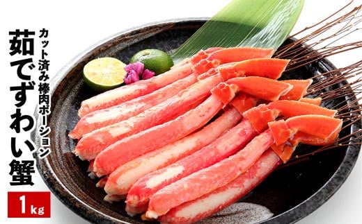 B-48011y12/21܂ŔNzz {CYCKj_|[V1kg(20`50{)kCs23000ECYJj