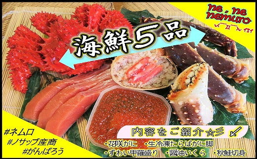 E-59003【12/21まで年内配送】 海鮮5品セットB北海道根室市92000魚介・海産物カニ