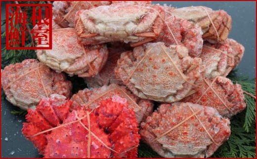 A-57043【12/21まで年内配送】 【北海道根室産】クリガニ15〜21尾(計3kg前後)、花咲ガニ1尾北海道根室市14000魚介・海産物カニ