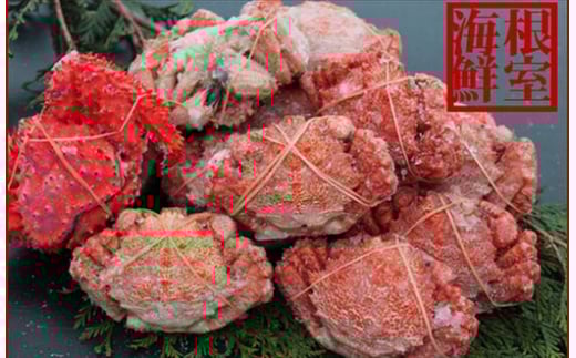 A-57044y12/21܂ŔNzz ykCYzNKj12`14(v2.5kgO)AԍKj1kCs14000ECYJj