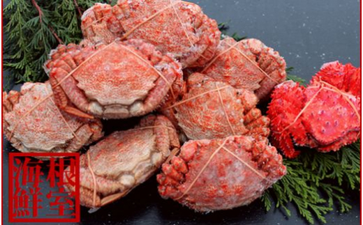 A-57045【12/21まで年内配送】 【北海道根室産】クリガニ8〜9尾(計2kg前後)、花咲ガニ1尾北海道根室市14000魚介・海産物カニ