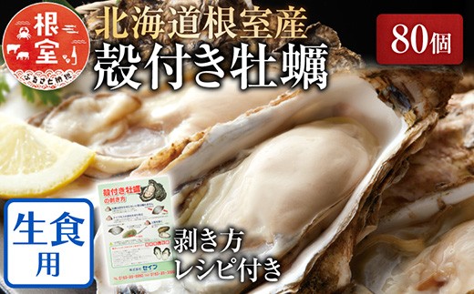 D-54008y12/21܂ŔNzz ykCYzLty80[11{ȍ~]kCs58000ECYL