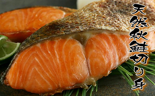 A-18014【12/10まで年内配送】 天然秋鮭切り身5切×5P北海道根室市14000魚介・海産物鮮魚