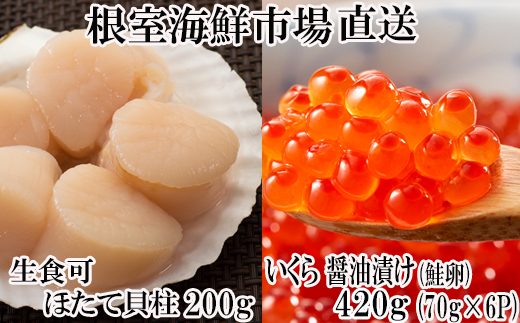 B-11037yNzz  ݖЂ()70g×6PAhgpقĊL200g ӂ邳Ɣ[  ق z^e  CNkCs23000ECY