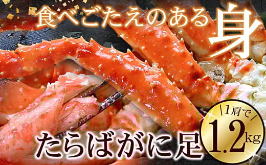 F-56008y12/21܂ŔNzz ΂1.2kg×1kCs34000ECYJj