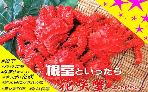 E-59001y12/21܂ŔNzz ykCYzԍ炪5`6(v4.5kgȏ)kCs92000ECYJj