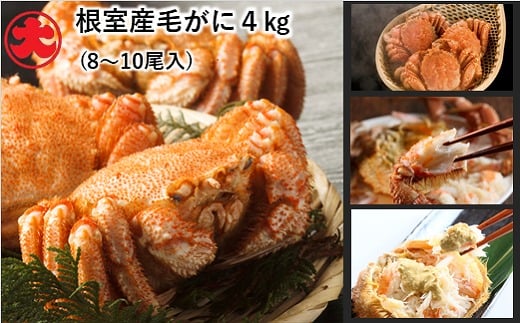 E-01003【12/21まで年内配送】 【北海道根室産】ボイル毛がに8〜10尾(計4kg)北海道根室市92000魚介・海産物カニ
