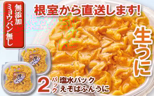 E-71031yNzz G]otEjpbN200g×2P[11{ȍ~]kCs92000ECYCJE^REEj