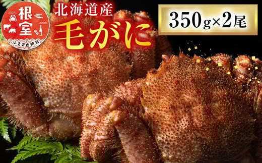 A-54011yNzz т350g×2kCs14000ECYJj