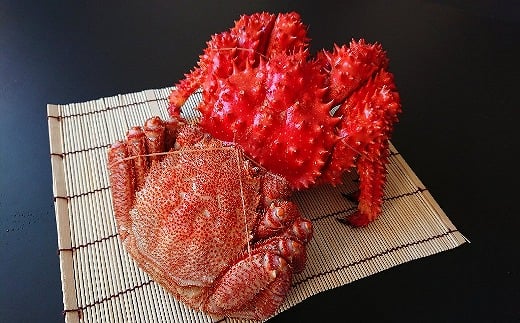 B-21004【12/21まで年内配送】 【北海道根室産】毛がに・花咲がに各400g前後×1尾北海道根室市23000魚介・海産物カニ
