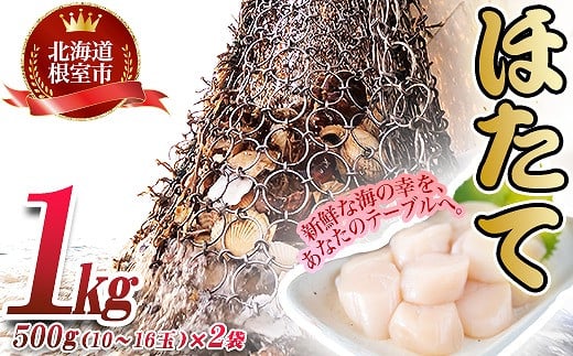 B-45003【年内配送可】 \漁業者応援品/ほたて貝柱500g×2P(計1.0kg)北海道根室市23000魚介・海産物貝類