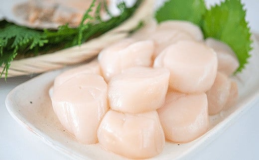 C-45003yNzz _Ǝ҉i^قĊL500g×3P(v1.5kg)kCs29000ECYL