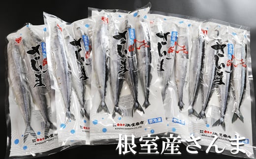 B-32021y12/17܂ŔNzz ykCYzⓀ40(4×10P)kCs23000ECY̑ ECY