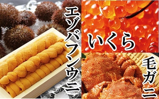 E-40006 G]otEj140g×1܁AݖЂ150g×1PAуKj300g`400gO×2[2026N1{ȍ~]kCs92000ECYCJE^REEj