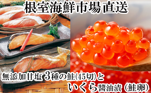 B-11043【12/10まで年内配送】  無添加天然甘塩鮭3種各15切、いくら醤油漬け(鮭卵)70g×2P北海道根室市23000魚介・海産物いくら