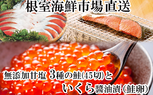 B-14045y12/10܂ŔNzz  YVRÉ3ؐge15؁AݖЂ()70g×2PkCs23000ECY