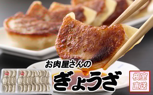 A-70049【年内配送可】 餃子25個×2P北海道根室市14000肉その他 肉
