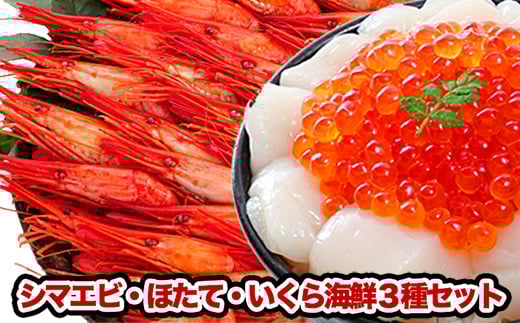 B-81004y12/17܂ŔNzz V}Gr500gEق300gE200gZbgkCs23000ECYL