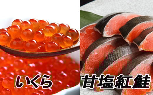 F-70003【年内配送可】 甘塩紅鮭5切×5P、いくら醤油漬け100g×3P北海道根室市34000魚介・海産物鮮魚