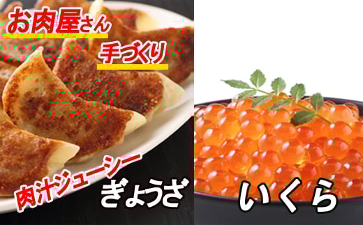 A-30041【年内配送可】 餃子25個×1P、いくら醤油漬け100g×1P北海道根室市14000肉その他 肉