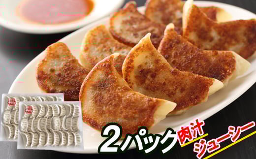 A-30048【年内配送可】 餃子25個×2P北海道根室市14000肉その他 肉