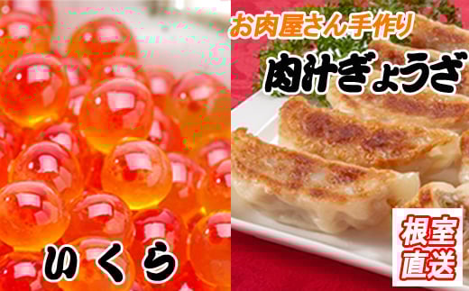 A-36042【12/21まで年内配送】 餃子25個×1P、いくら醤油漬け100g×1P北海道根室市14000肉その他 肉