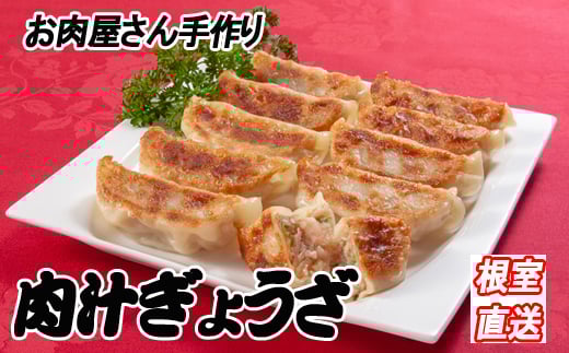 B-36041【年内配送可】 餃子25個×3P北海道根室市23000肉その他 肉