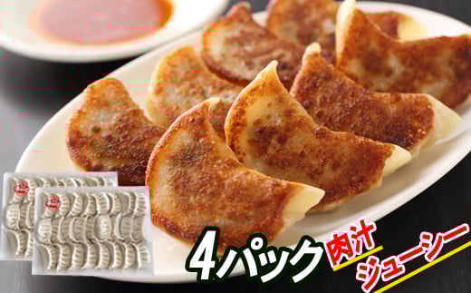 C-30066【年内配送可】 餃子25個×4P北海道根室市29000肉その他 肉