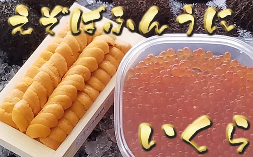 D-71038 G]otEj140g×1܁Aݖ150g×1P[2026N1{ȍ~]kCs58000ECYCJE^REEj