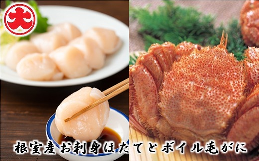 B-01057y12/21܂ŔNzz ykCYzhgق500g×1PA{Cт400g×1 ӂ邳Ɣ[  ق z^e  CNkCs23000ECYL