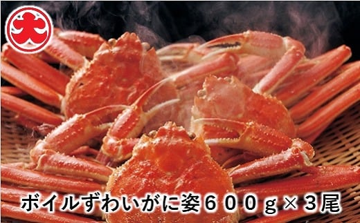 F-01008【年内配送可】 ボイルずわいがに姿600g×3尾北海道根室市34000魚介・海産物カニ