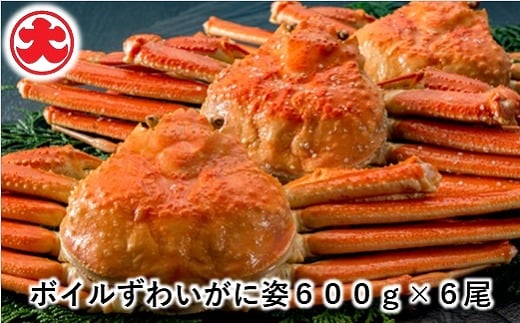 D-01053【年内配送可】 ボイルずわいがに姿600g×6尾北海道根室市58000魚介・海産物カニ