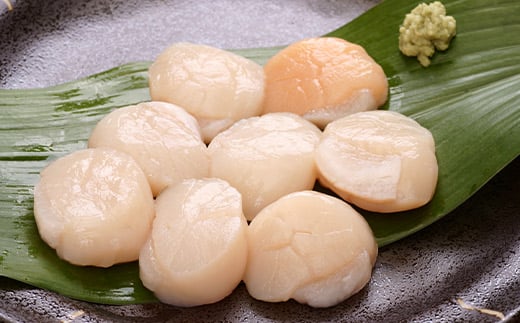 C-05007y12/21܂ŔNzz _Ǝ҉i^ykCYzhgpz^eL1kgkCs29000ECYL